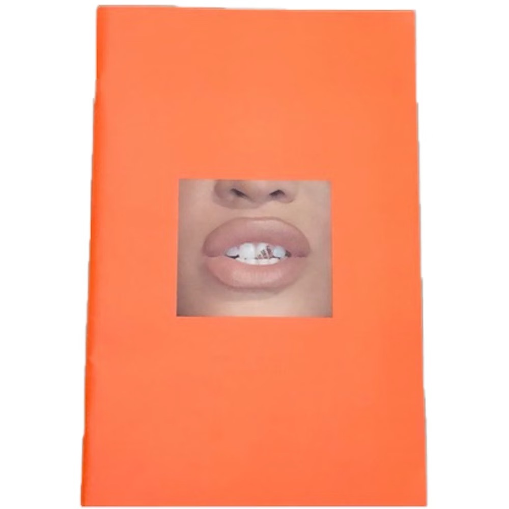 Orange Ivy Park Look Book